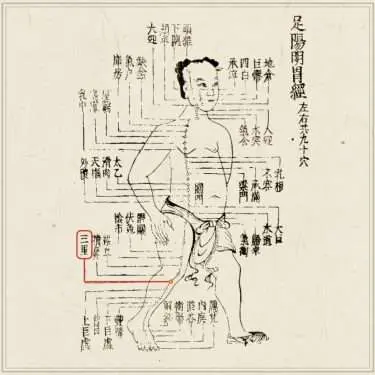 経穴】中脘｜伝統鍼灸 楓庵