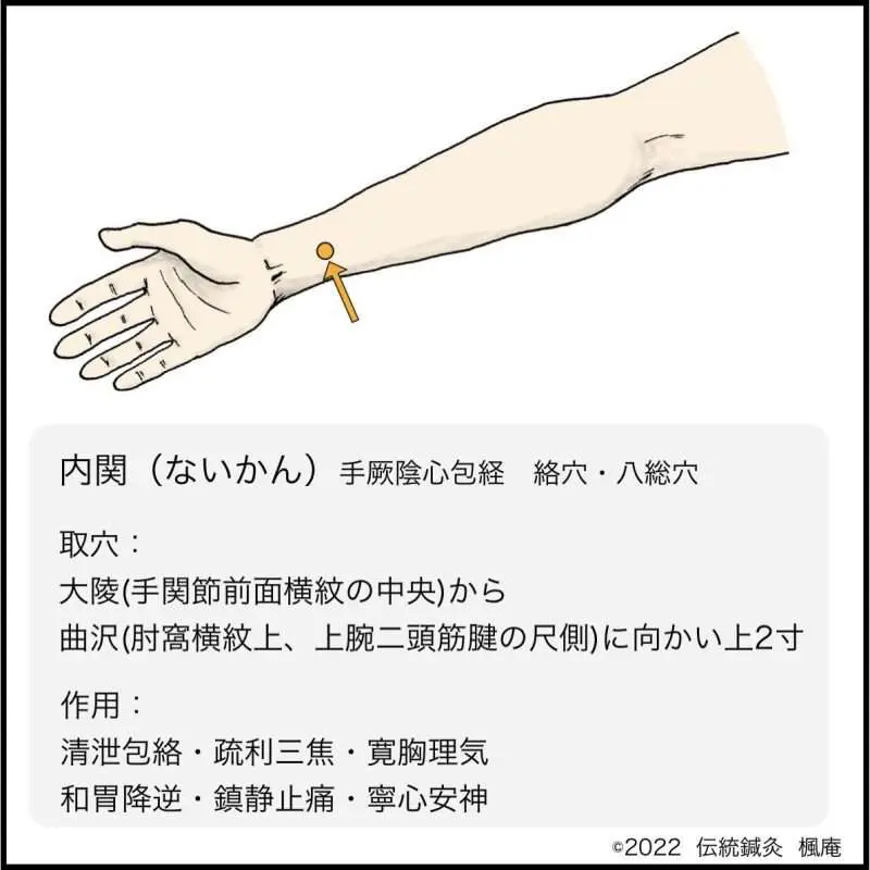経穴考按　　鍼灸甲乙経準拠 経穴】後谿｜伝統鍼灸 楓庵
