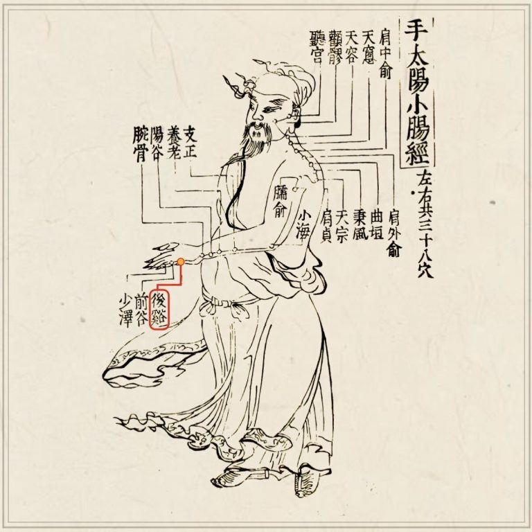 経穴考按　　鍼灸甲乙経準拠 针灸甲乙经- Houston Public Library - OverDrive