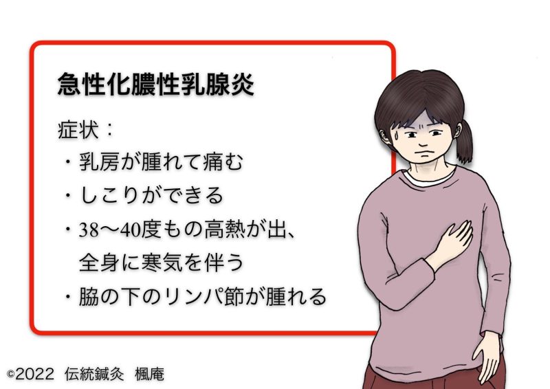 乳腺炎 楓庵について 伝統鍼灸 楓庵 大阪吹田 土日祝も診療