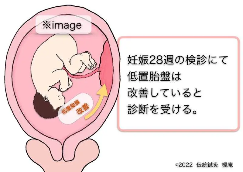 あなたの受胎能力を管理する : 自己観察法(FAM)で成功させる妊娠