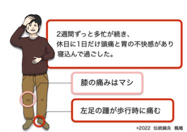 【治療日誌】変形性膝関節症 No.11