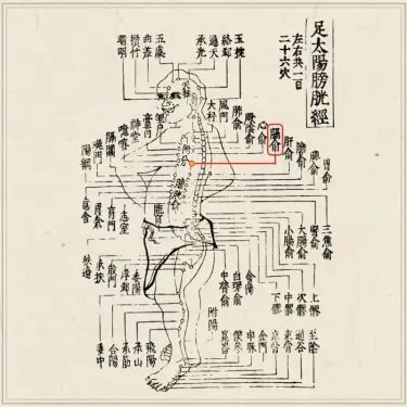 名灸穴の研究 名灸穴の研究 (1978年) |本 | 通販 | Amazon