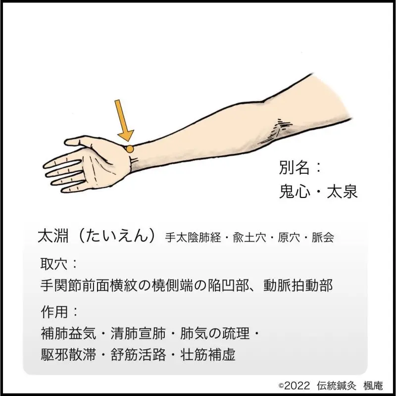 漢法苞徳会 汎用太鍼その運用 第2版 2014 八木素萌 005s3D 漢法苞徳会 汎用太鍼その運用 第2版 2014 八木素