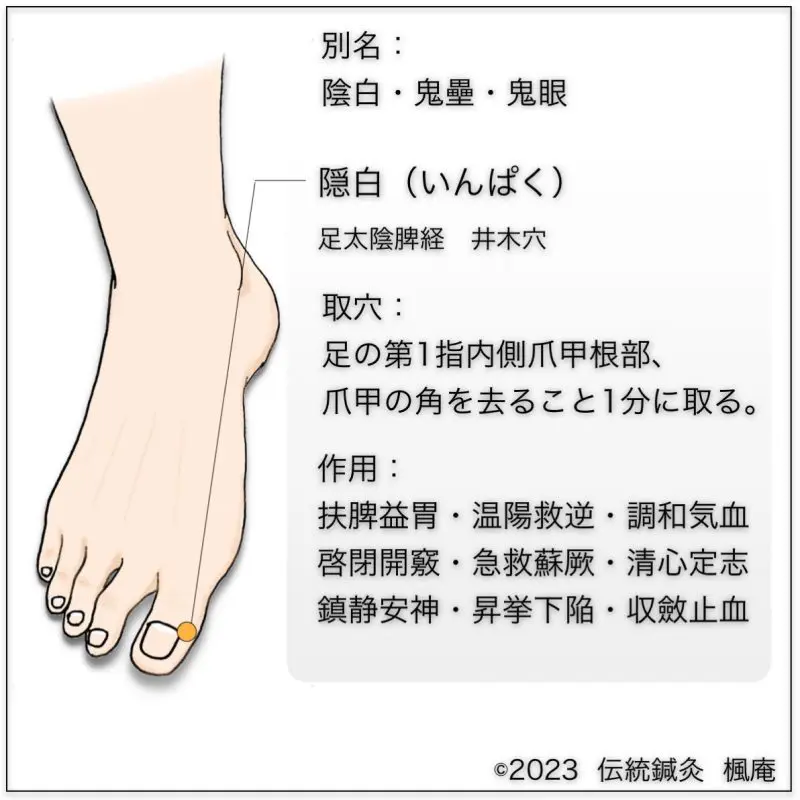 経穴】隠白｜伝統鍼灸 楓庵