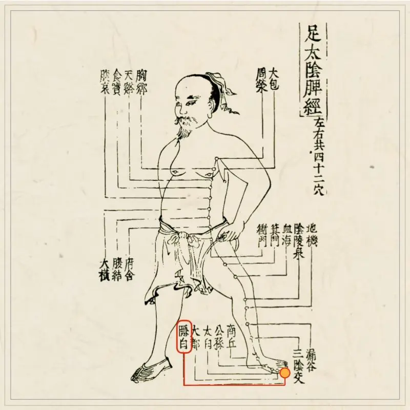 「図解 気脈養生 内経図」唐頤著 レア本◆内経図 内經圖 内丹 気功 煉丹 仙道 図解 気脈養生 内経図」唐頤著 レア本◇内経図 内經圖 内丹 気功