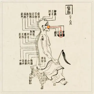 経穴考按　　鍼灸甲乙経準拠 Amazon.com: 杨甲三针灸取穴图解(全新升级版): 9787030579492