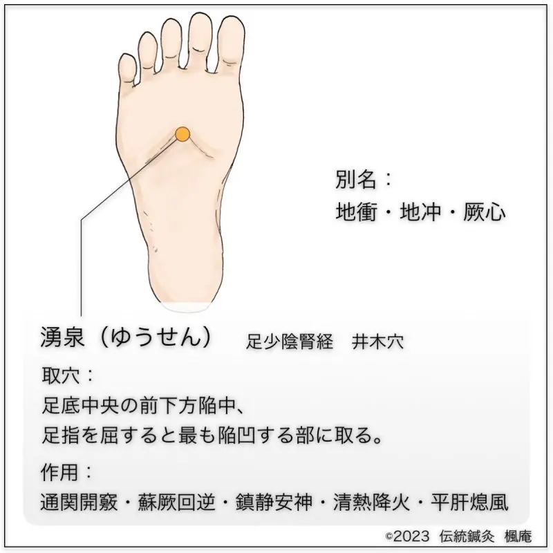 経穴考按　　鍼灸甲乙経準拠 経穴】陽谿｜伝統鍼灸 楓庵