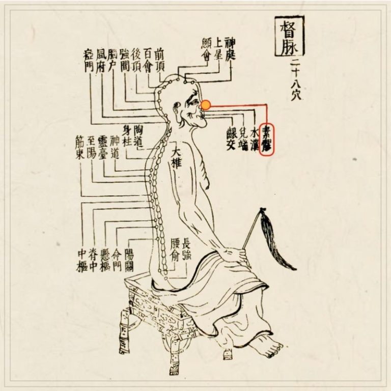 経穴】素髎｜伝統鍼灸 楓庵
