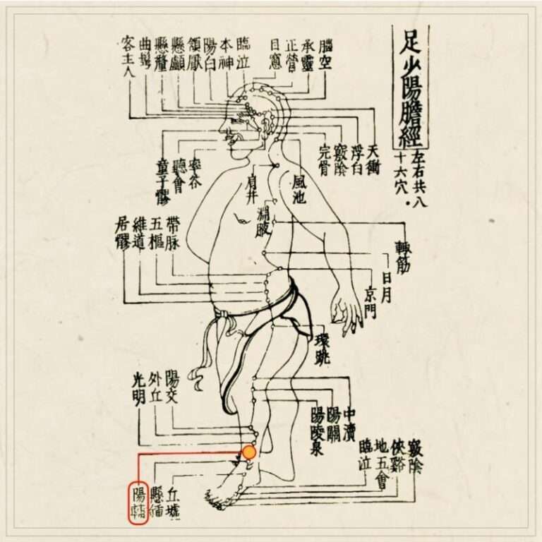 経穴主治症総覧 | 池田 政一 |本 | 通販 | Amazon