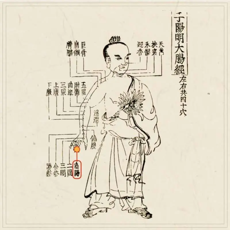 経穴考按　　鍼灸甲乙経準拠 最古の経穴書を今日に伝える『甲乙経』 | 鍼灸治療家集団,一鍼堂