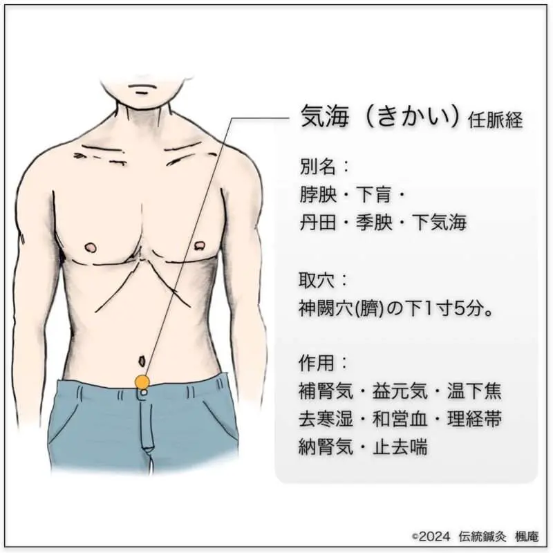 経穴】気海｜伝統鍼灸 楓庵