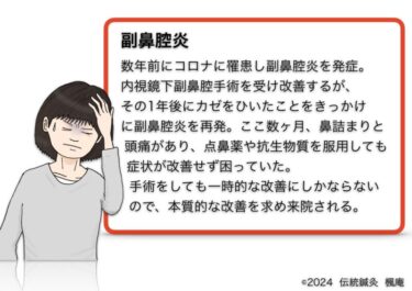 【症例集】副鼻腔炎(2)