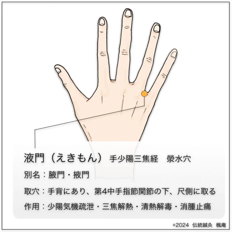 皆伝・入江流鍼術 Amazon.co.jp: 皆伝・入江流鍼術 : 本