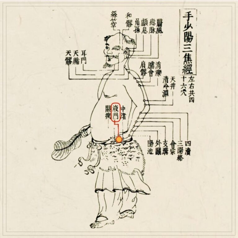 皆伝・入江流鍼術 Amazon.co.jp: 皆伝・入江流鍼術 : 本