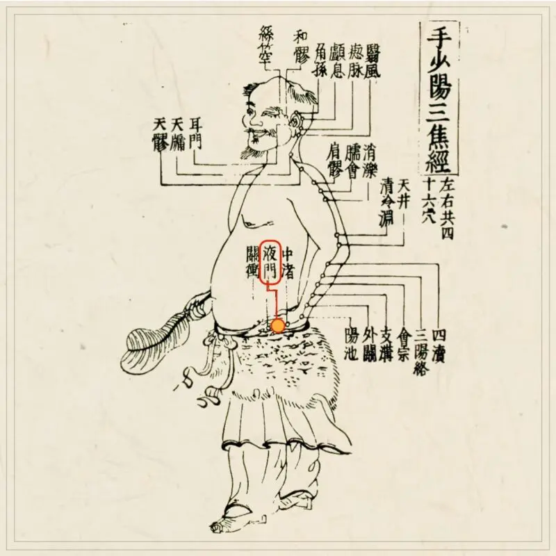 皆伝・入江流鍼術 商品詳細ページ | メディカルブックセンター