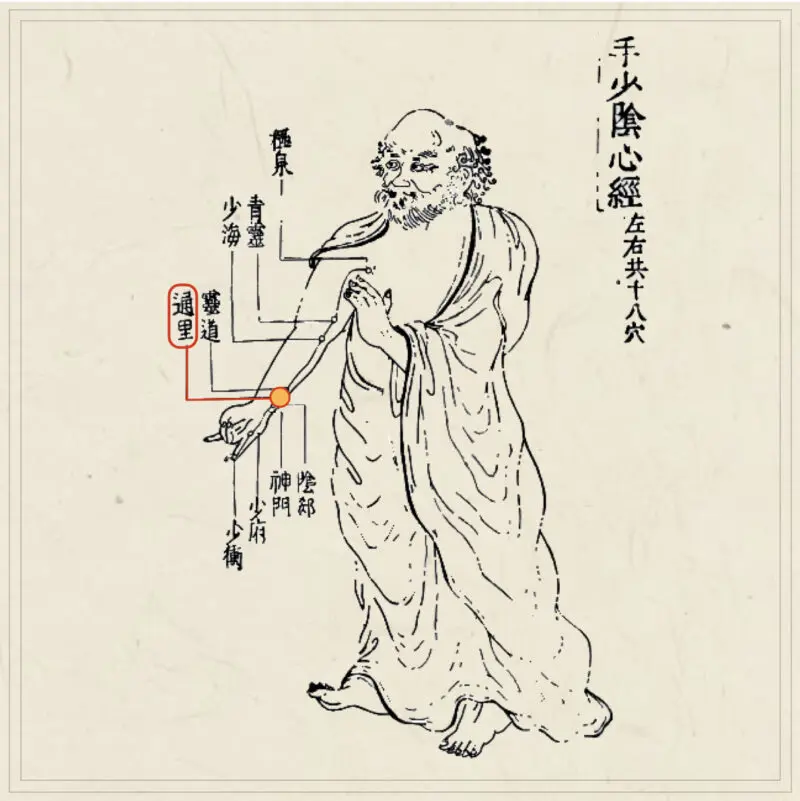 近代鍼灸界を支える人々　鍼灸の道を拓く 近代鍼灸界を支える人々 鍼灸の道を拓く 近代鍼灸界を支える人々