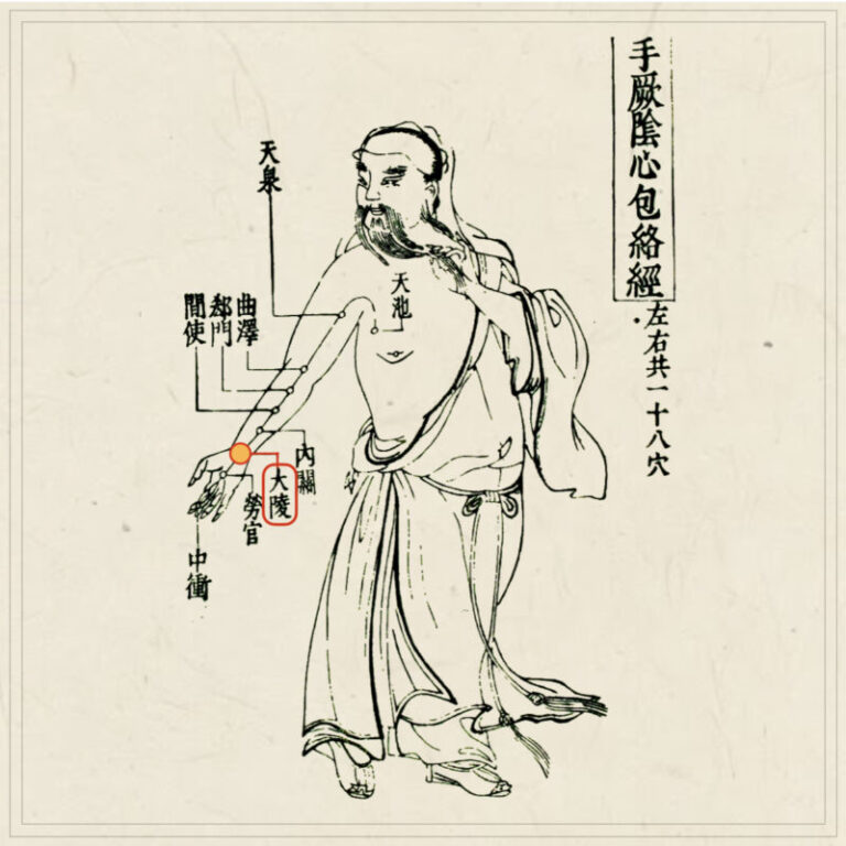 皆伝・入江流鍼術 Amazon.co.jp: 皆伝・入江流鍼術 : 本