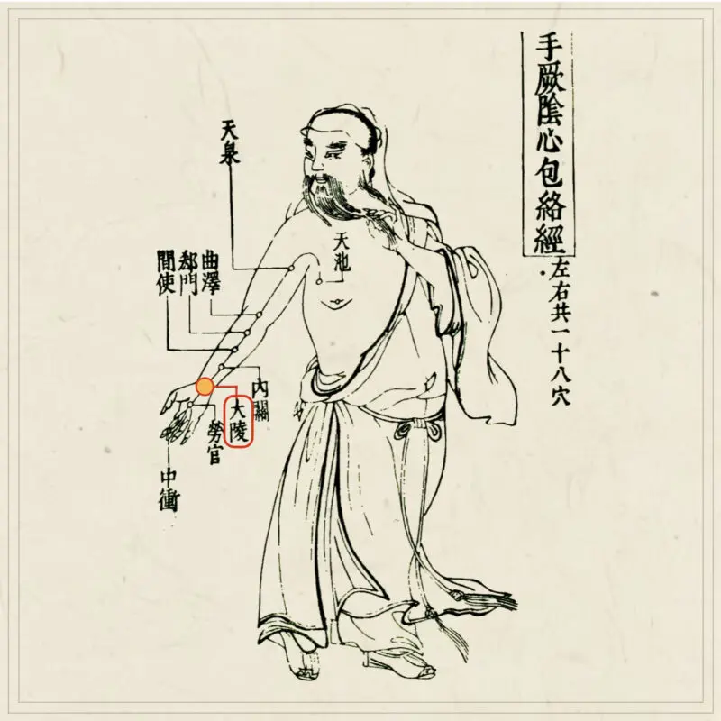 皆伝・入江流鍼術 皆伝・入江流鍼術 : 入江中務少輔御相伝針之書の覆刻と研究