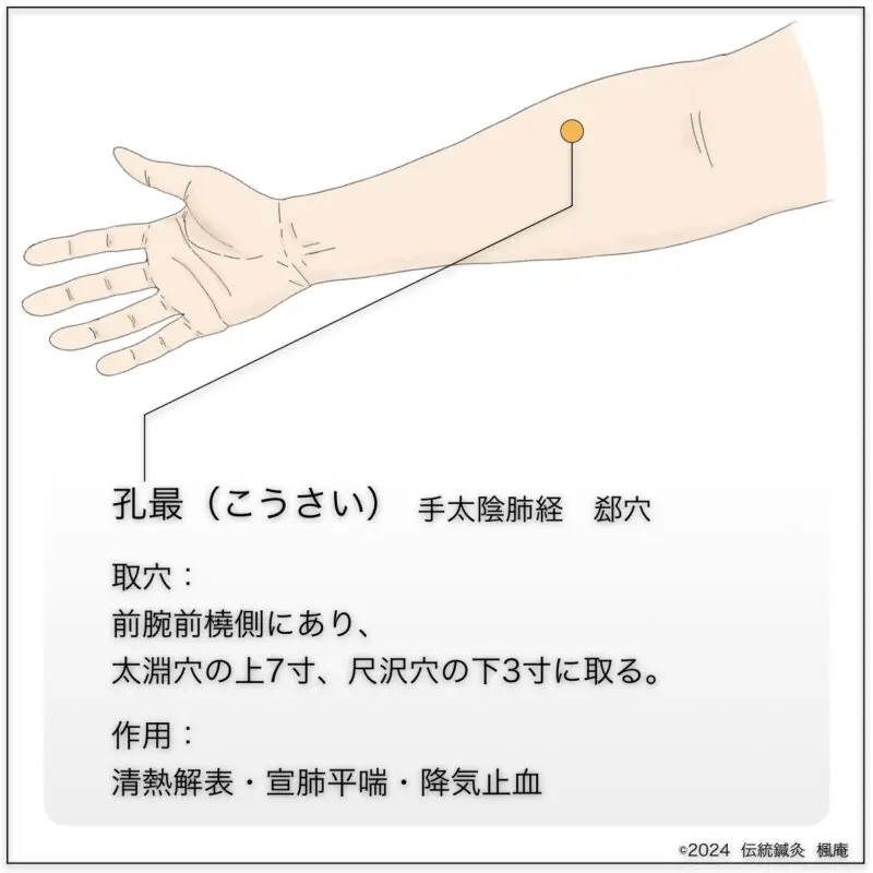 皆伝・入江流鍼術 皆伝 入江流鍼術 入江中務少輔御相伝針之書の復刻と研究 和漢