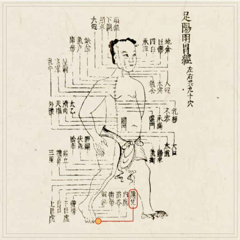 経穴】俠谿｜伝統鍼灸 楓庵