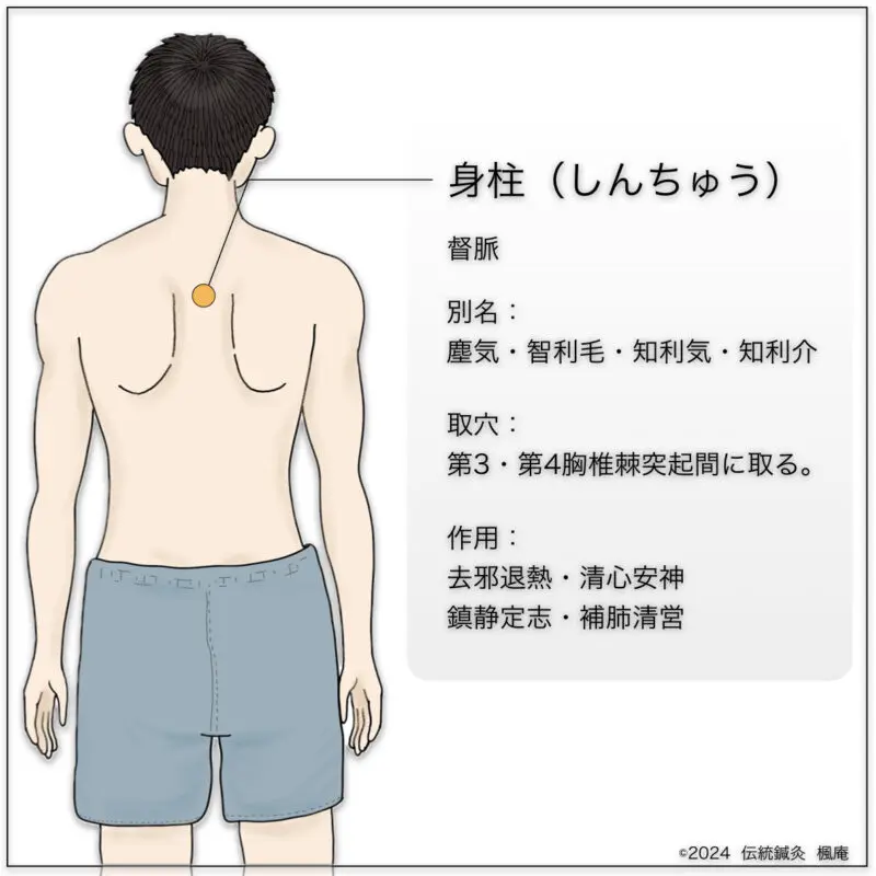 経穴考按　　鍼灸甲乙経準拠 IMG_0404-768x768.jpeg