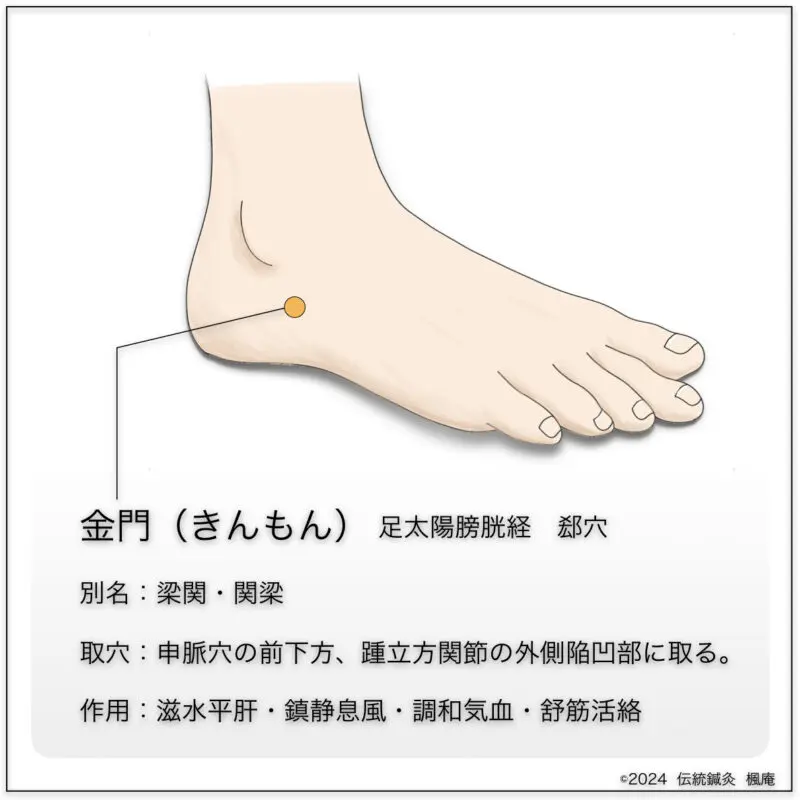 経穴】金門｜伝統鍼灸 楓庵