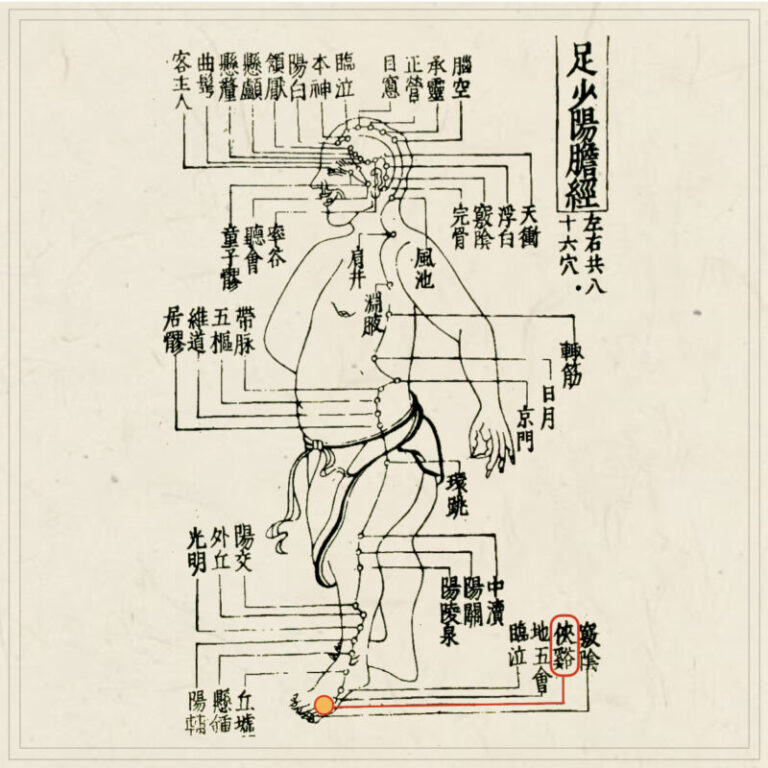 経穴考按　　鍼灸甲乙経準拠 针灸甲乙经- Houston Public Library - OverDrive