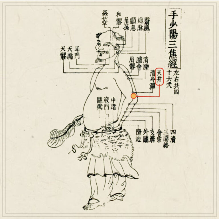Amazon.co.jp: 皆伝・入江流鍼術 : 本