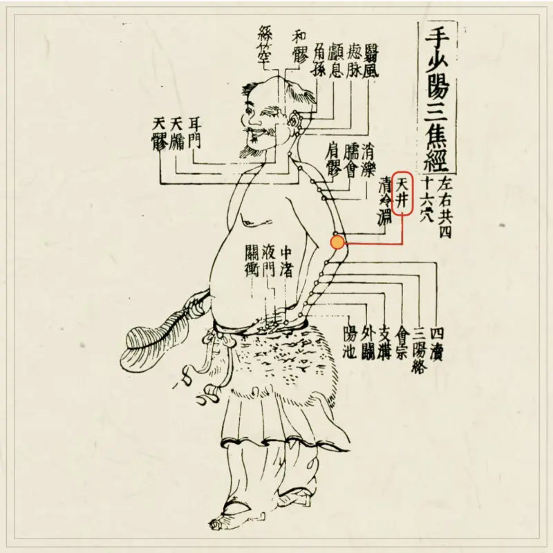 皆伝・入江流鍼術 Amazon.co.jp: 皆伝・入江流鍼術 : 本