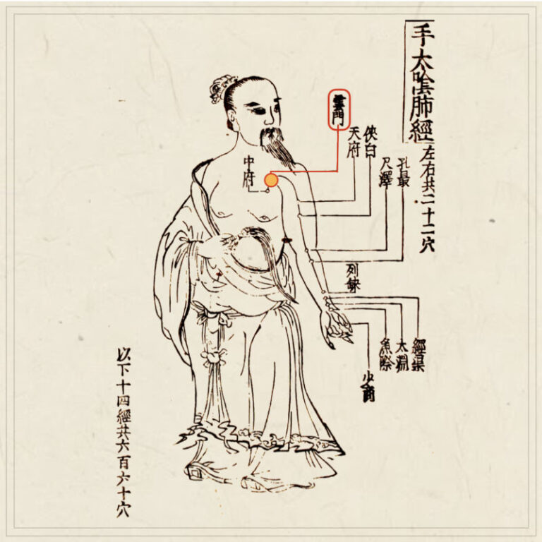 Amazon.co.jp: 皆伝・入江流鍼術 : 本