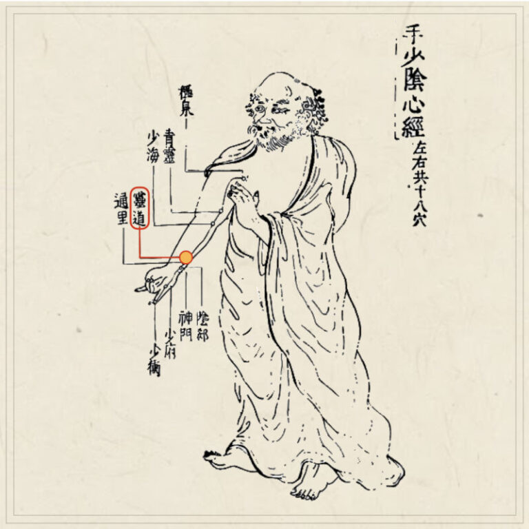 経穴】霊道｜伝統鍼灸楓庵｜大阪府吹田市の伝統鍼灸院