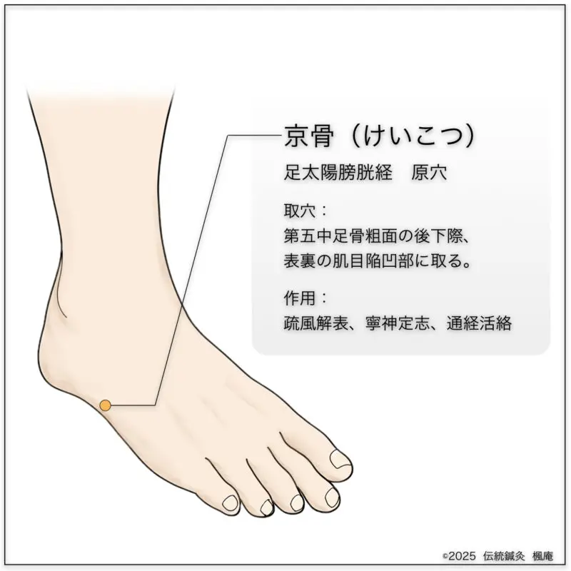 女の子向けプレゼント集結 経穴】京骨｜伝統鍼灸 楓庵 健康・医学