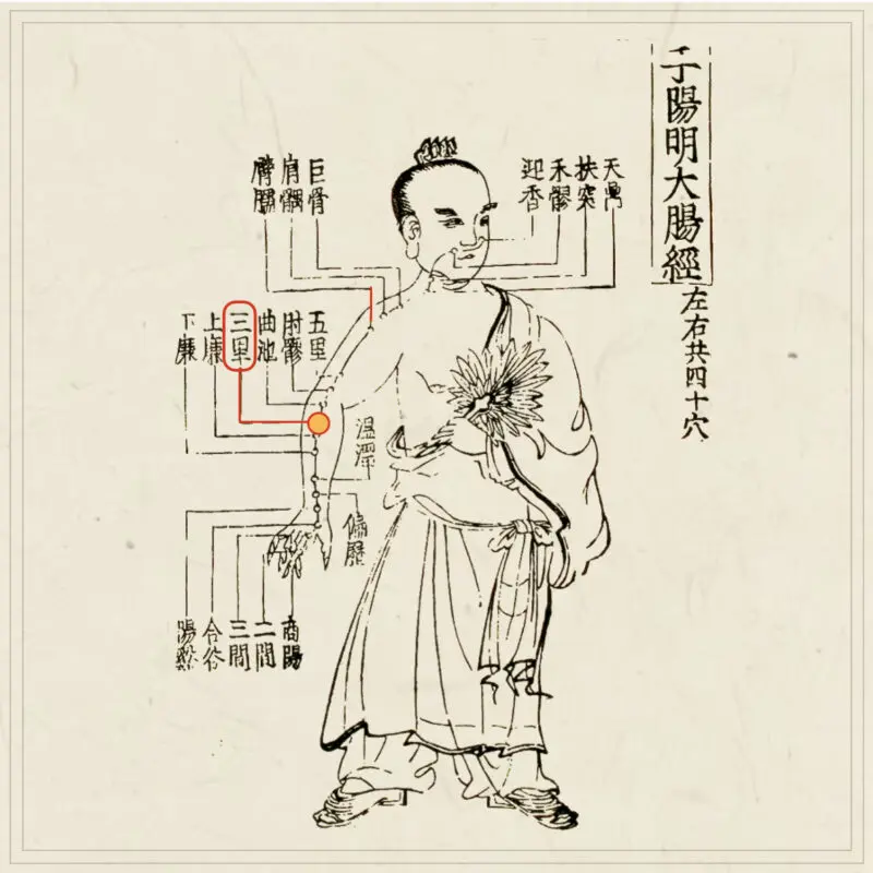 皆伝・入江流鍼術 皆伝・入江流鍼術 : 入江中務少輔御相伝針之書の覆刻と研究