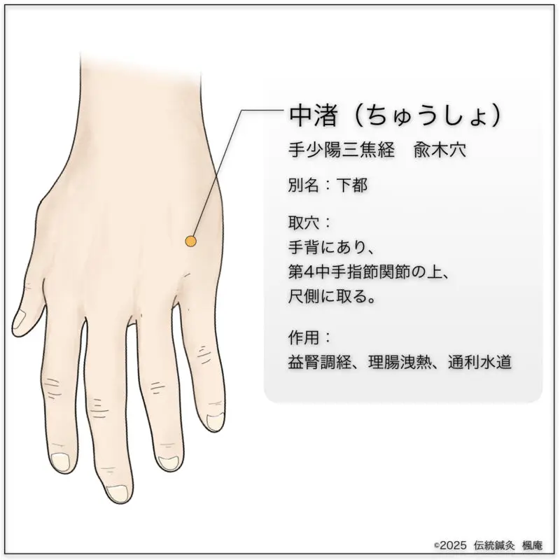 経穴】中渚｜伝統鍼灸 楓庵