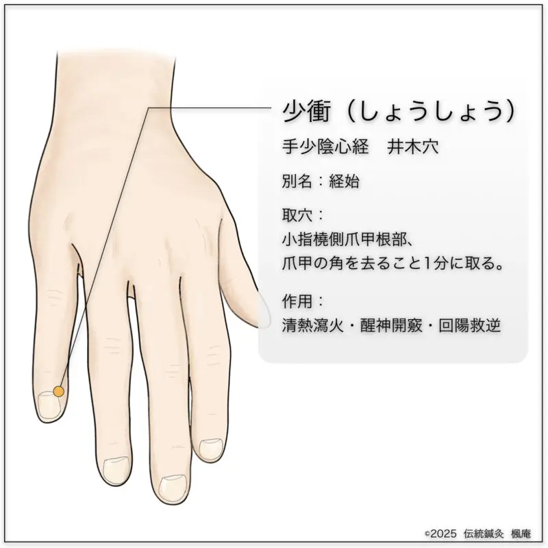 経穴考按　　鍼灸甲乙経準拠 経穴】衝陽｜伝統鍼灸 楓庵