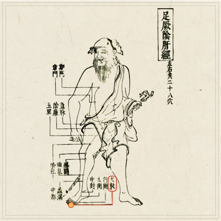 中国鍼灸学術史大網 中国鍼灸学術史大網