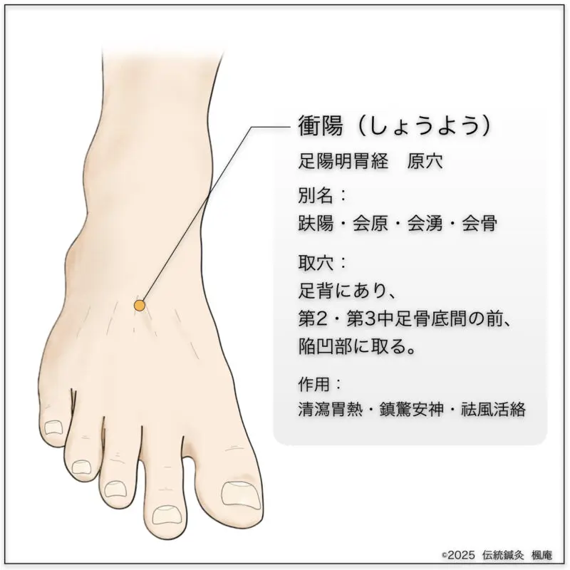 経穴】太谿｜伝統鍼灸 楓庵
