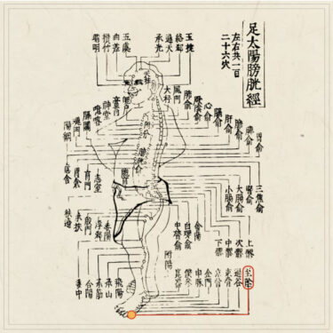 至陰