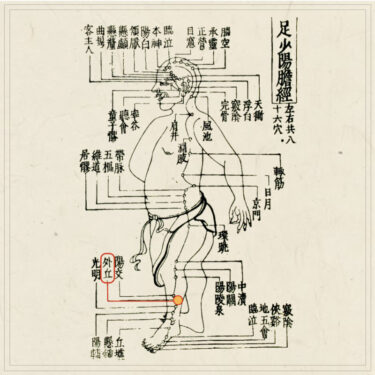 【経穴】外丘