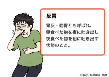 【東洋医学用語】反胃