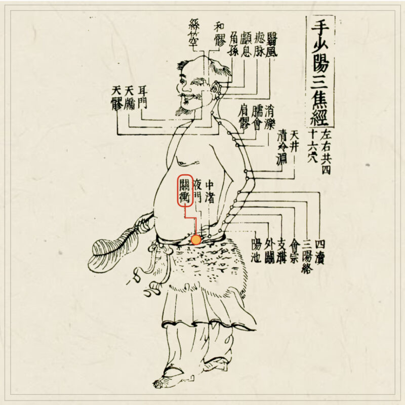 【経穴】関衝