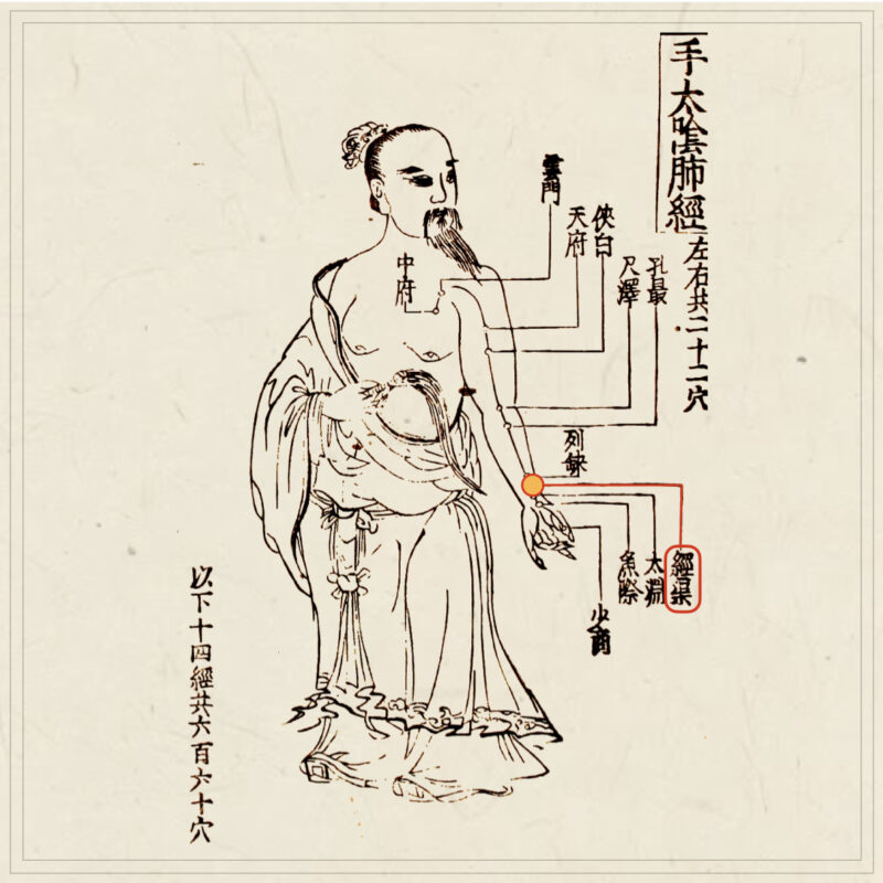 【経穴】経渠