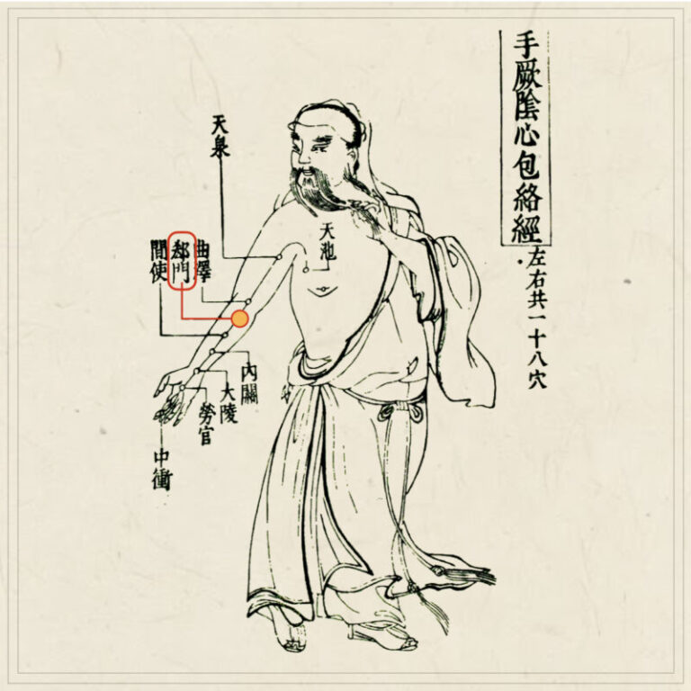 経穴】郄門｜伝統鍼灸 楓庵