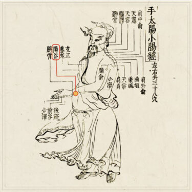 陽谷