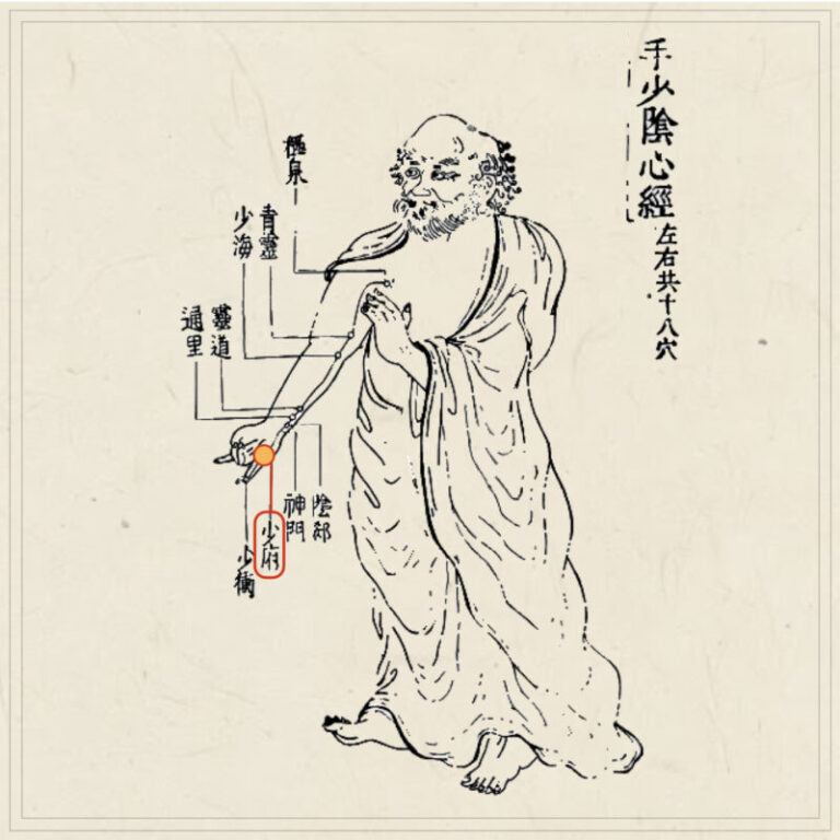 経穴】少府｜伝統鍼灸 楓庵