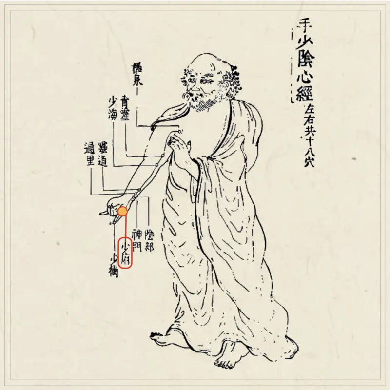 経穴】少府｜伝統鍼灸 楓庵