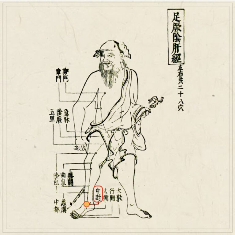 皆伝・入江流鍼術 皆伝・入江流鍼術 入江中務少輔御相伝針之書の覆刻と研究』