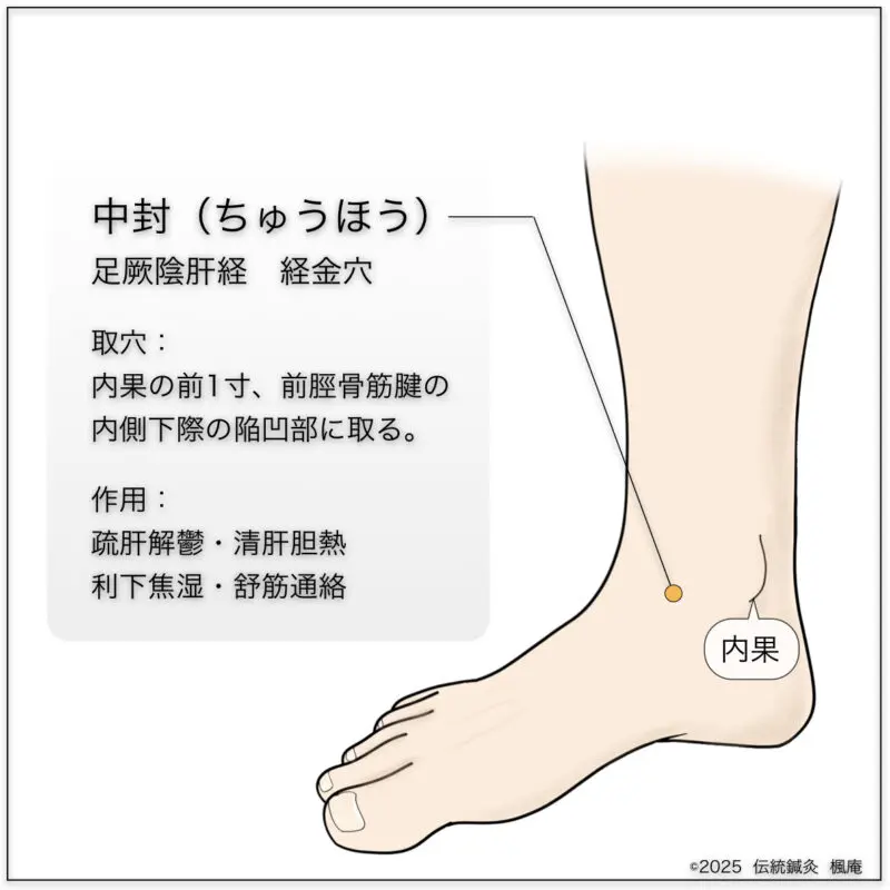 経穴】中封｜伝統鍼灸 楓庵