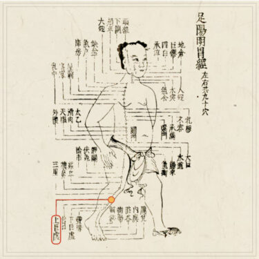 上巨虚